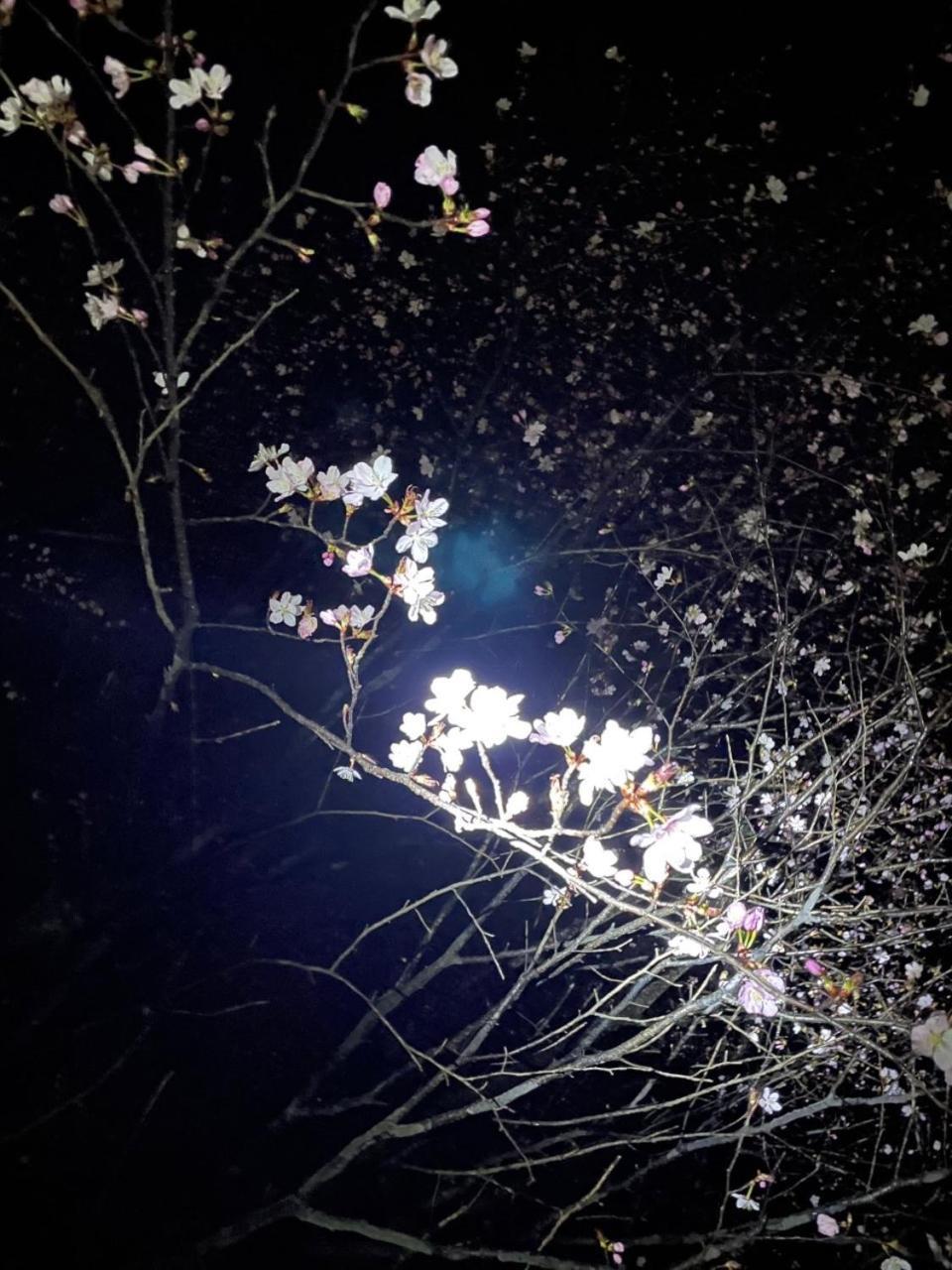 Отель Kinugawa Keisui Никко Экстерьер фото